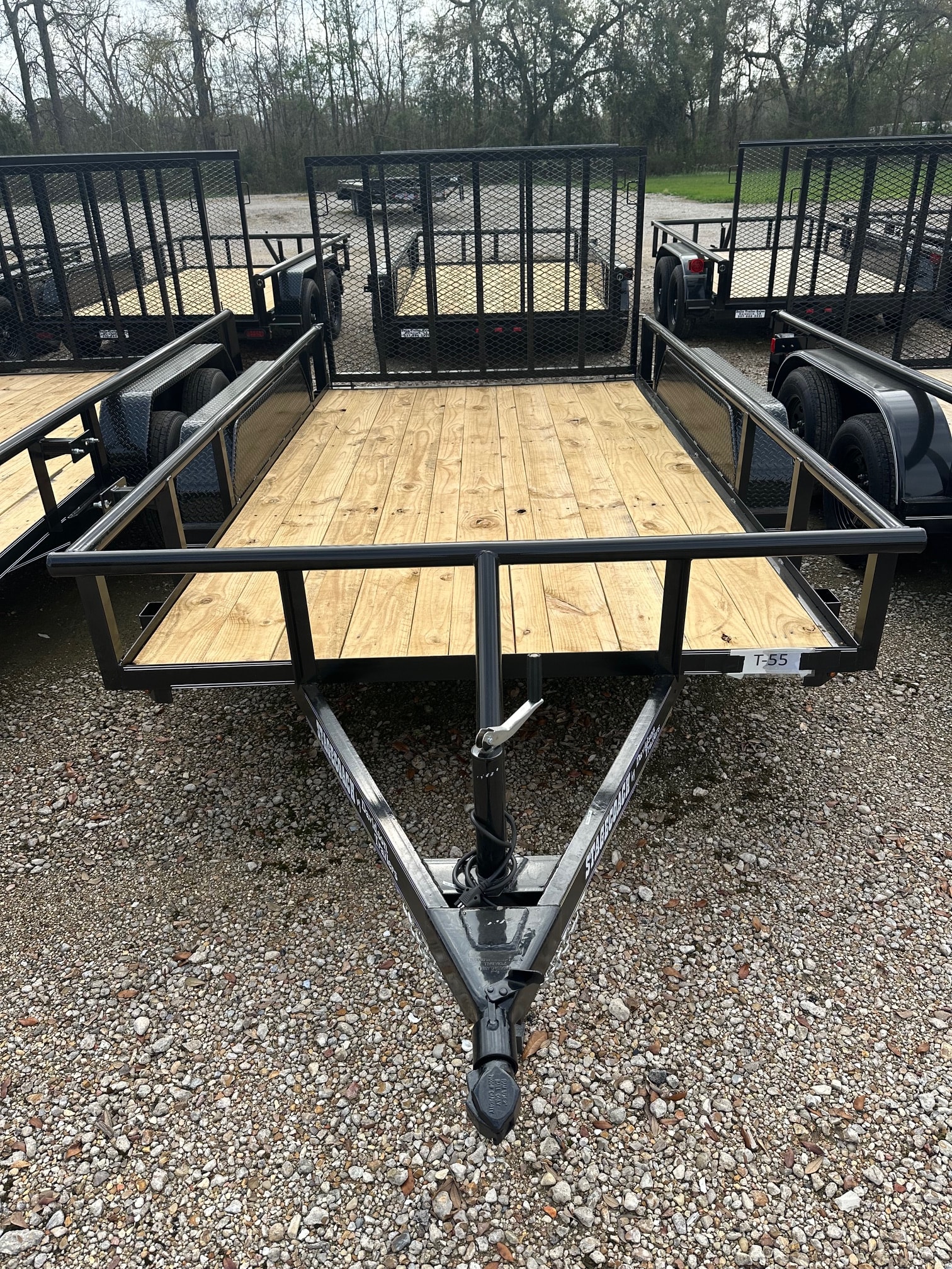Davidson Stagecoach tandem axle utility trailer with gate